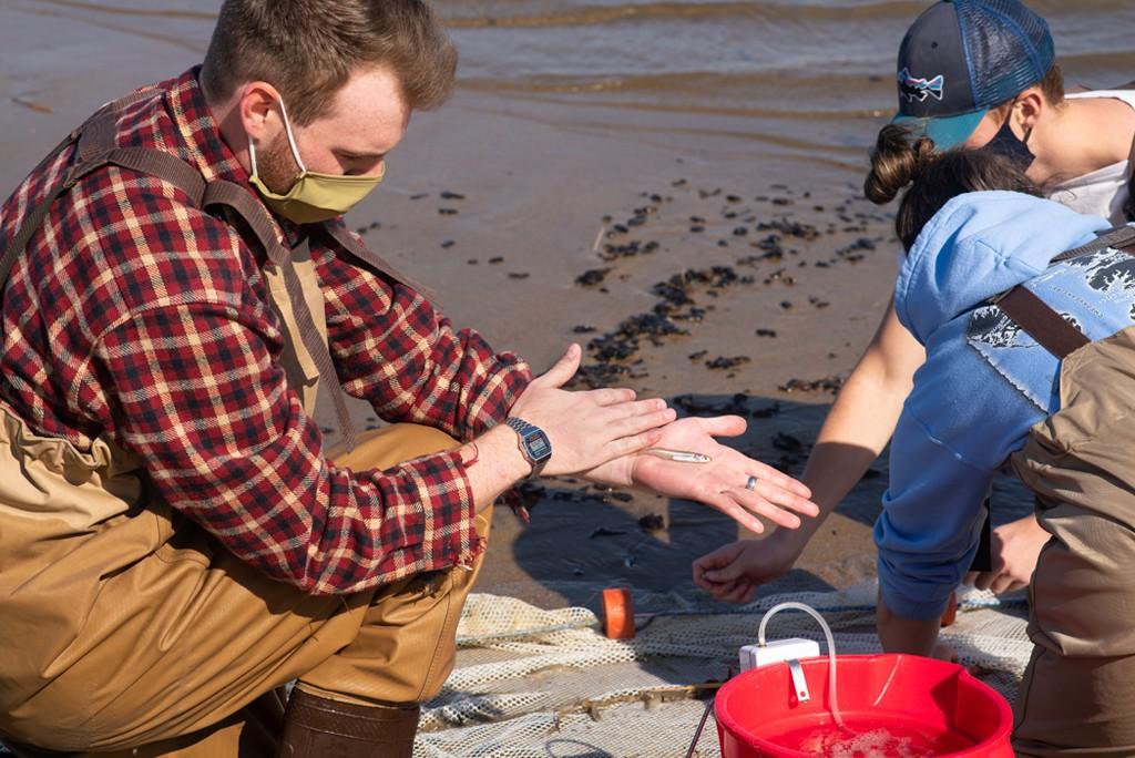 Marine Science students on the beach